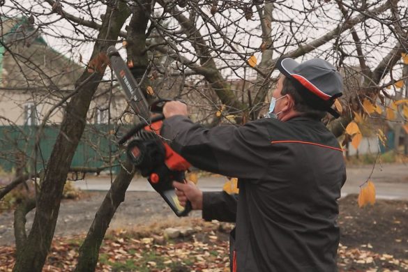 Друг, психолог і опора. Як допомагають фахівці терцентру УСЗН своїм підопічним