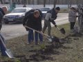 Прибрали газони та висадили рослини. Біля психо-неврологічного інтернату відбувся суботник