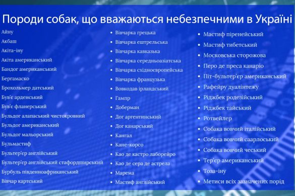 Без намордника та повідка - на вулицю не можна. Верховна Рада затвердила перелік порід небезпечних собак