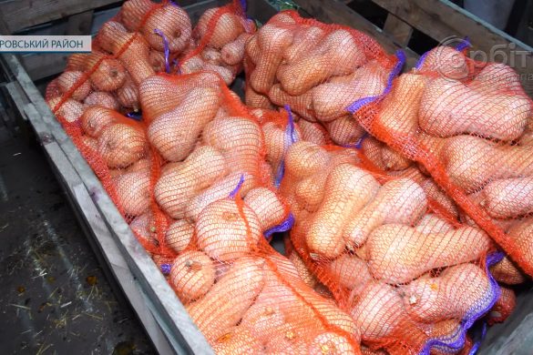 Яблука та овочі до столу українців. Про особливості зберігання та продажу врожаїв на ТОВ «Перспектива»