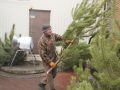 Полтавські та кримські, великі і не дуже. У Покровську запрацювали ялинкові базари