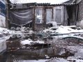 Потоп у приватній садибі. Порив водогону завдав клопоту мешканцям Котлиного