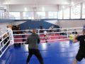 Останні приготування перед Чемпіонатом України. Боксери Донецької області провели тренувальні збори