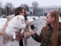 Як померанський шпіц Тедді на книжкову виставку про собак ходив
