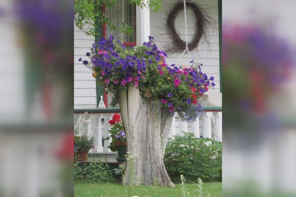 Перезимували добре, нові локації - в планах. Парк «Ювілейний» готується до нового сезону