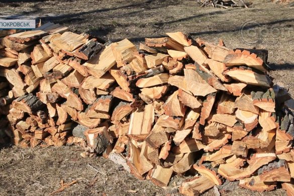 І зігрітись, і приготувати їжу. У Покровську волонтери заготовлюють  дрова для міста