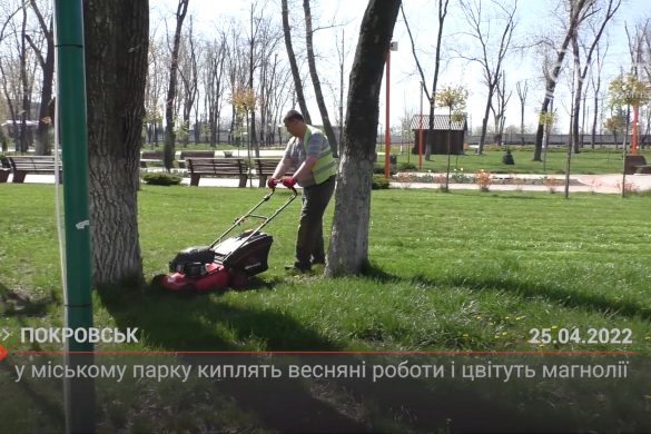 У міському парку киплять весняні роботи і цвітуть магнолії