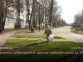 Комунальні служби працюють: двірники прибирають вулиці від сміття