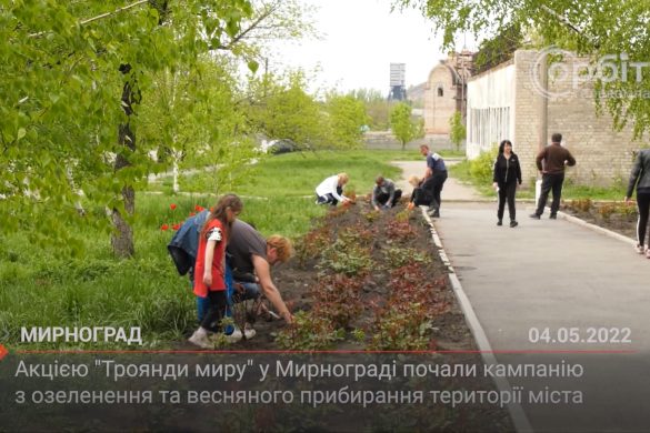 Акцією "Троянди миру" у Мирнограді почали кампанію з озеленення та весняного прибирання території міста