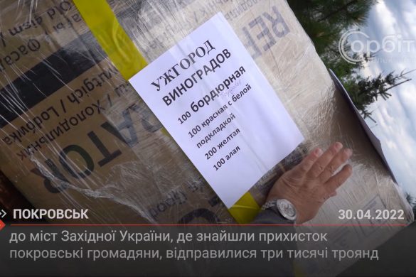 До міст Західної України, де знайшли прихисток покровські громадяни, відправилися три тисячі троянд