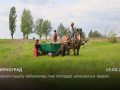 Господарі Мирнограда заготовляють траву для худоби