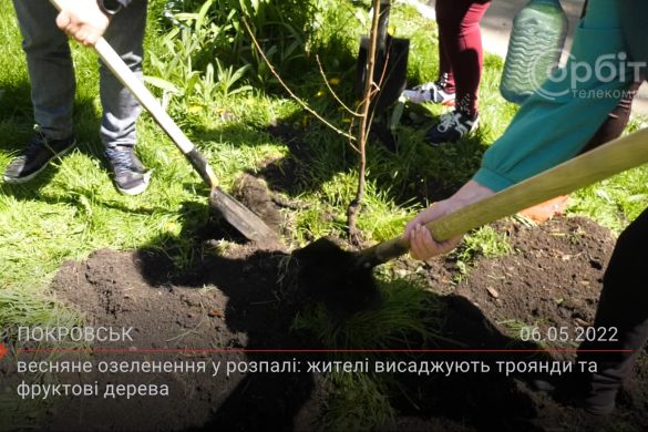 Весняне озеленення у розпалі: жителі висаджують троянди та фруктові дерева