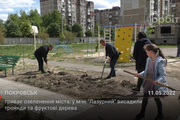 Триває озеленення міста: у м-ні «Лазурний» висадили троянди та фруктові дерева