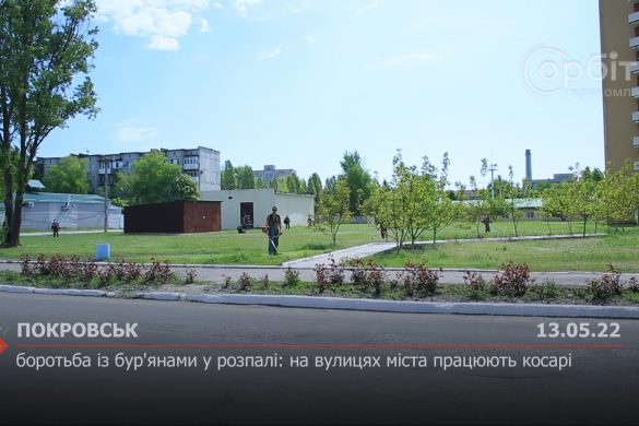 На вулицях Покровська борються с бур'янами