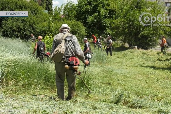 Сезон покосу в розпалі. Покровські комунальники продовжують наводити лад