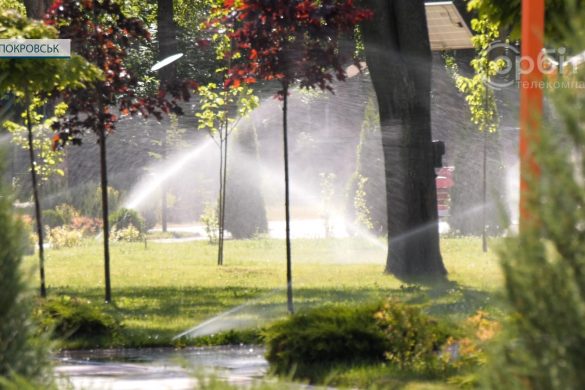 Куточок відпочинку від війни. Як і хто підтримує лад у парку «Ювілейний»?