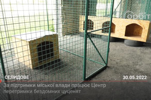 За підтримки міської влади в Селидовому працює центр перетримки бездомних цуценят