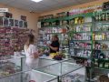 «Хімія» - проти молока з йодом, або Як покровчани городину від шкідників рятують