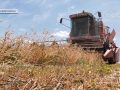 Жнива практично під обстрілами. Як збирають врожай на Донеччині