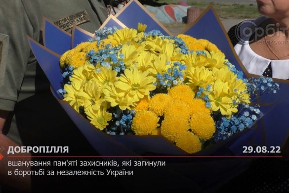 У Добропіллі вшанували пам'яті захисників, які загинули в боротьбі за незалежність України