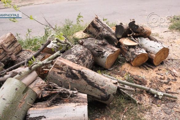 За дровами – до Терцентру. У Мирнограді пільговим категоріям громадян допомагають твердим паливом