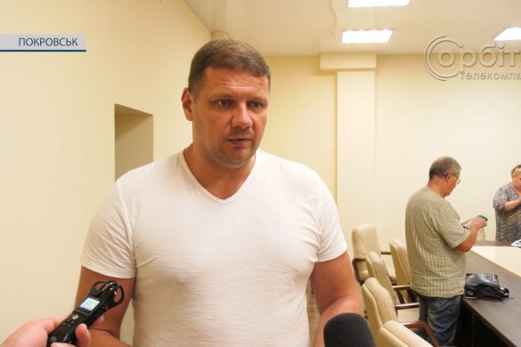 Дрова –нужденним, допомога – від працеспроможних. Хто і як буде забезпечувати паливом покровчан?