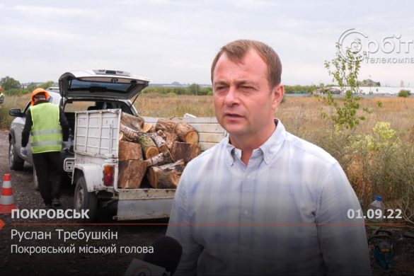 Підготовка до зими: у громаді заготовляють дрова для пільгових категорій населення