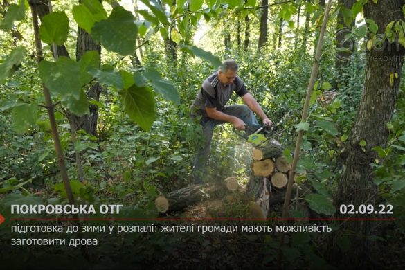 Підготовка до зими у розпалі: жителі громади мають можливість заготовити дрова