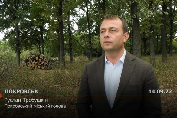 Жителі громади можуть запастися дровами за міською програмою 50/50