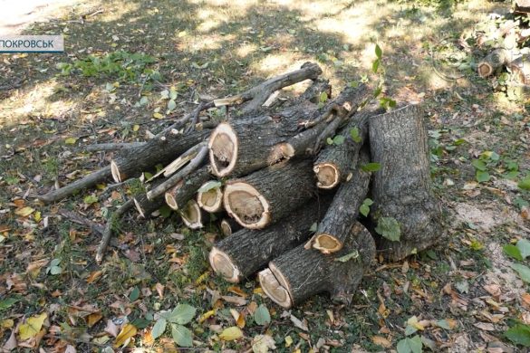 Дрова за програмою 50/50. У Покровській ТГ готуються до опалювального сезону