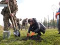 200 кримських сосен прикрасили парк «Ювілейний». Дерева висадили до Дня захисників і захисниць України
