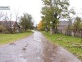 Амбулаторія та магазини працюють, автобуси рухаються за графіком. Гришинський старостат живе та готується до зими