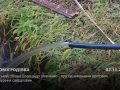 Міський голова Олександр Шевченко - про хід виконання програми з буріння свердловин