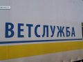 Працює «ЗооКонтроль»: більше двохсот тварин Покровської ТГ вакциновано та стерилізовано