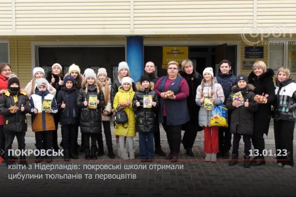 Квіти з Нідерландів: покровські школи отримали цибулини тюльпанів та первоцвітів