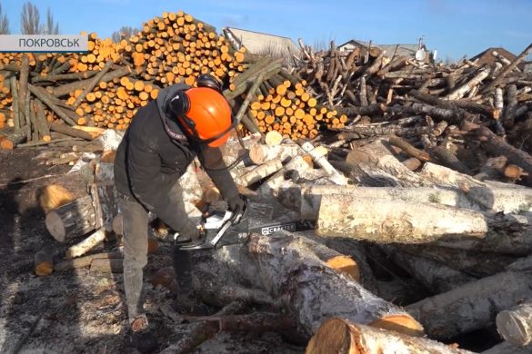 «ЄДрова» у Покровську: громадяни можуть отримати по 2 кубометри деревини