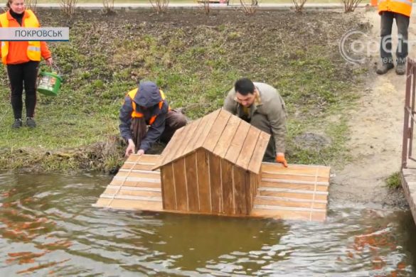 Будиночок для качок та озеленення: у парку «Ювілейний» киплять весняні роботи