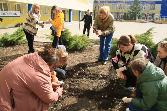 У покровській ЗОШ №9 висадили первоцвіти, що приїхали з закордону