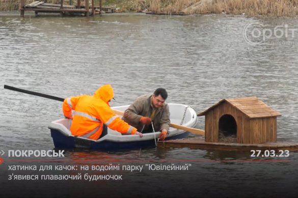Хатинка для качок: на водоймі парку "Ювілейний" з'явився плаваючий будиночок