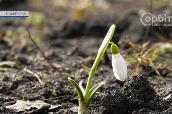 У працівників парку «Ювілейний» почалися весняні турботи