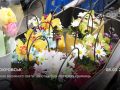 Ранок весняного свята: ажіотаж біля квіткових крамниць