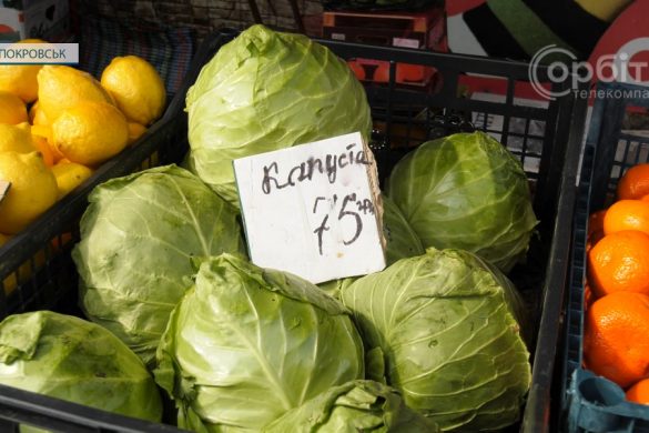 Продукти харчування спустошують гаманці. Огляд цін на покровському ринку