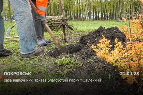 Оаза відпочинку: триває благоустрій парку "Ювілейний"