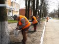 До Великодня покровські комунальники білять дерева та бордюри