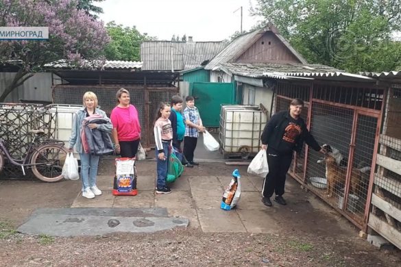 Від домашнього улюбленця - безхатнім тваринам. У Покровській ТГ завершився благодійний марафон