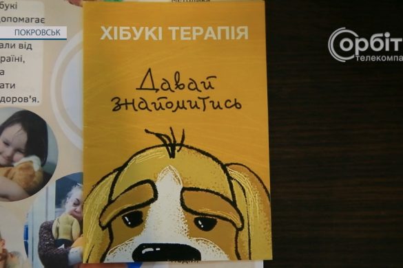 Перша зустріч із батьками: у Покровську почалася реалізація проєкту «Хібукі»