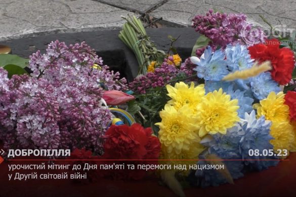 Урочистий мітинг до Дня пам'яті та перемоги над нацизмом у Другій світовій війні