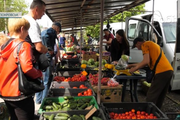 Ранні ягоди, фрукти та овочі. Що та в яку ціну пропонують продавці на покровських ринках