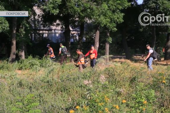 Працівники дільниці «Чисте місто» ведуть невтомну боротьбу із бур'янами