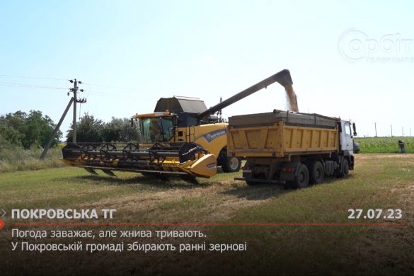 Погода заважає, але жнива тривають. У Покровській громаді збирають ранні зернові
